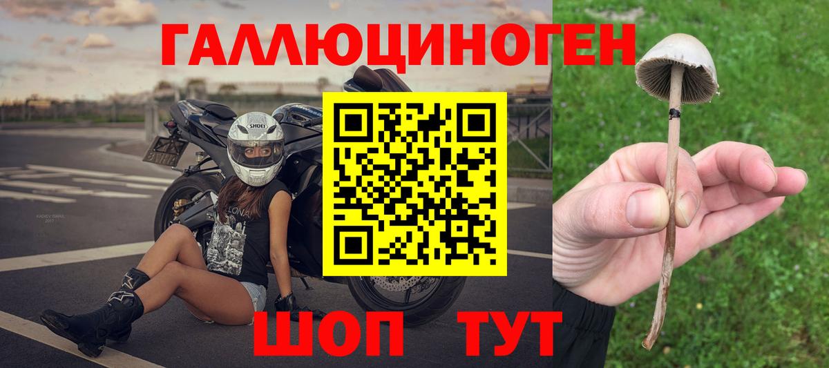 Псилоцибиновые грибы GOLDEN TEACHER Нижнеудинск